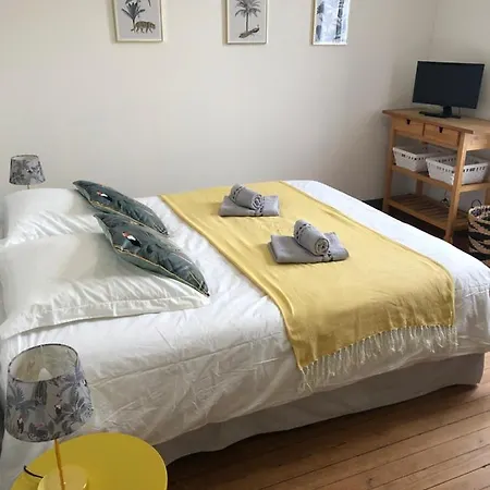 Maison St 别墅 布拉耶圣卢斯